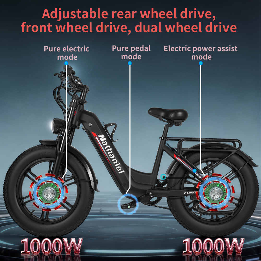 Sepeda Listrik Dewasa Nathanie - Dual Motor Ebike Kit 2000W ulasan dan harga